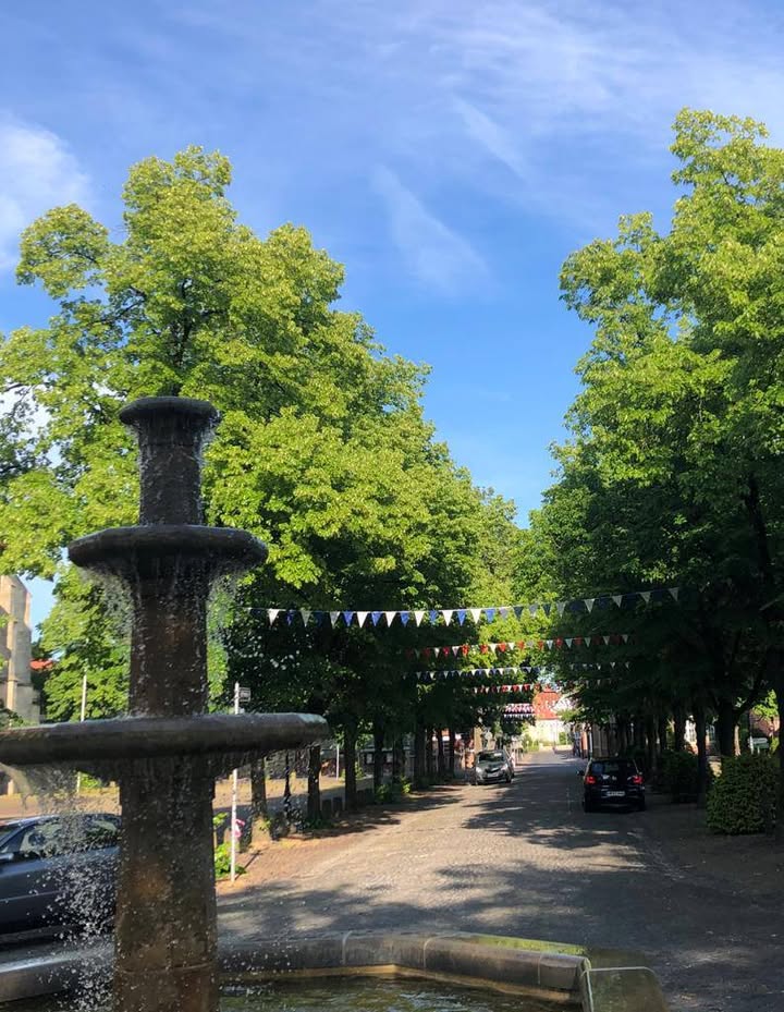 Foto 2 zum Beitrag vom 13.06.2020